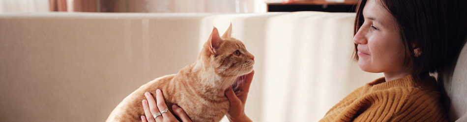 Forstå din kats kropssprog - 11 signaler som alle bør kende